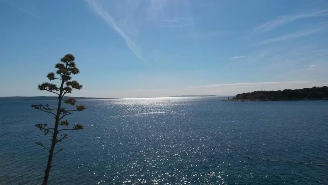 Apartman Belisima Deluxe Supetarska Draga Extérieur photo